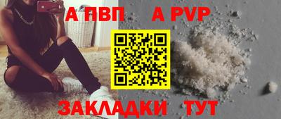 тгк Кингисепп