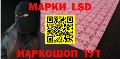 тгк Кингисепп