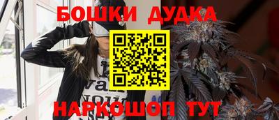 тгк Кингисепп