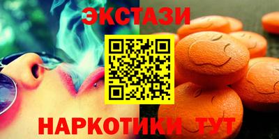 тгк Кингисепп