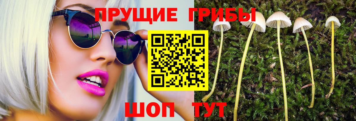 Галлюциногенные грибы Cubensis  Вход с VPN  Ленинск-Кузнецкий 